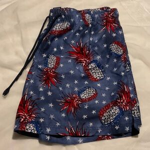 George Blue and Red Pineapple Swim Mini